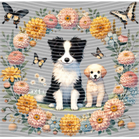 Animal Integration-DW 497